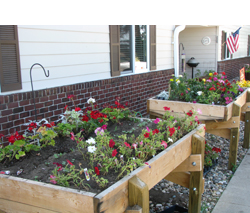 raised planting beds